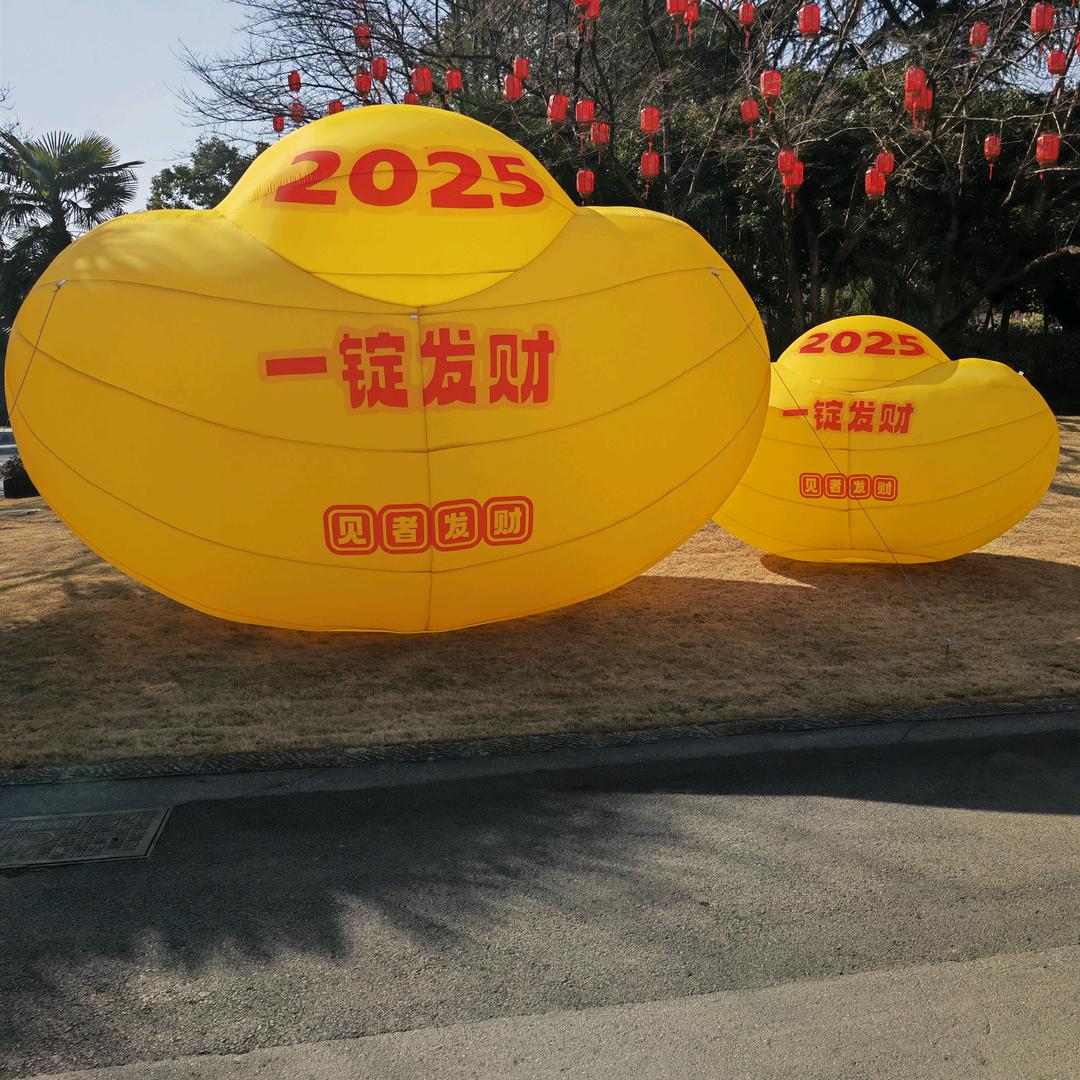 龙游阿依莲