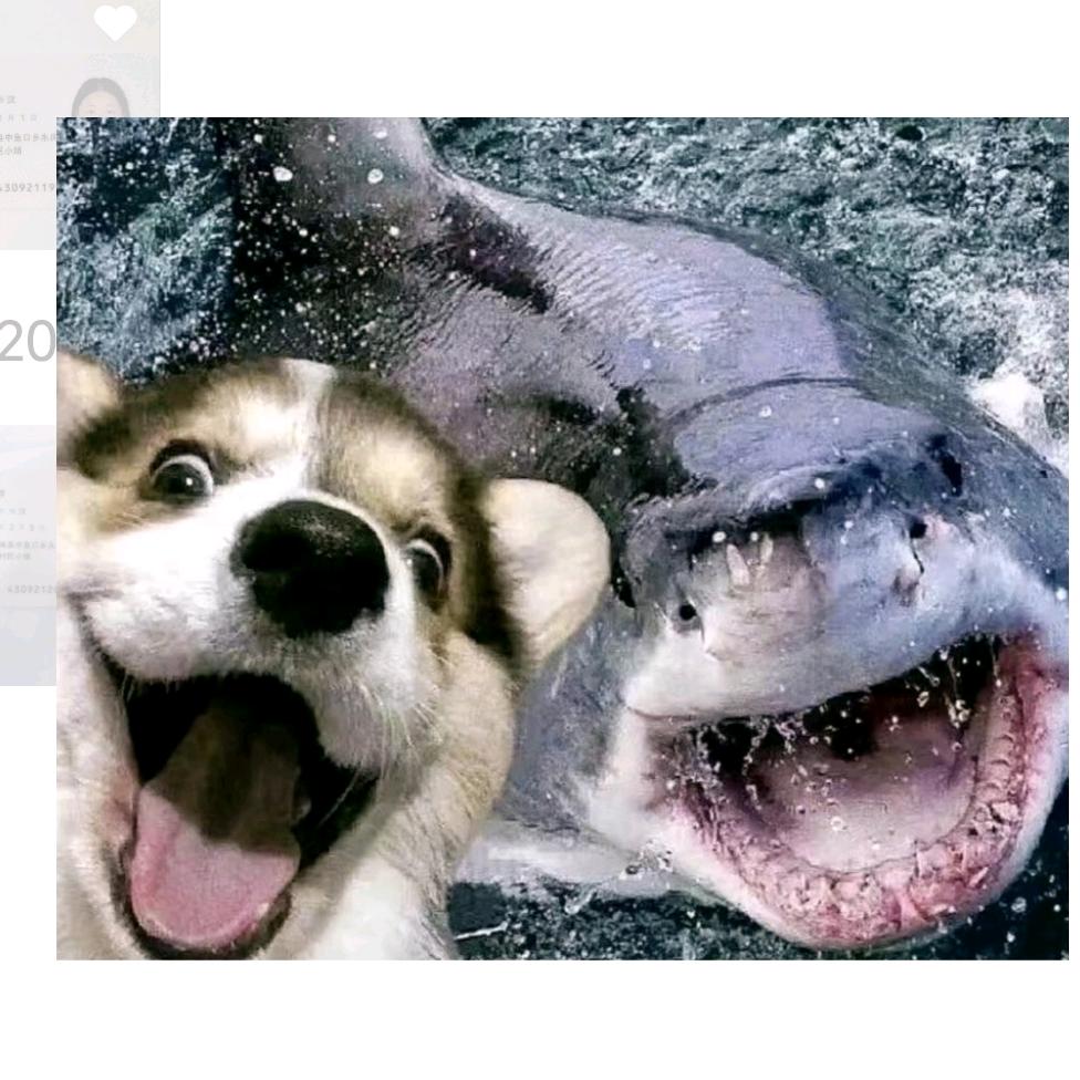 Rs丶渔雷·雷神