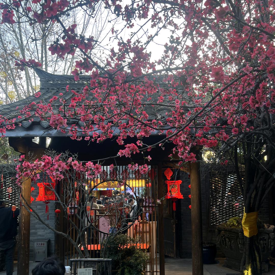 將軍