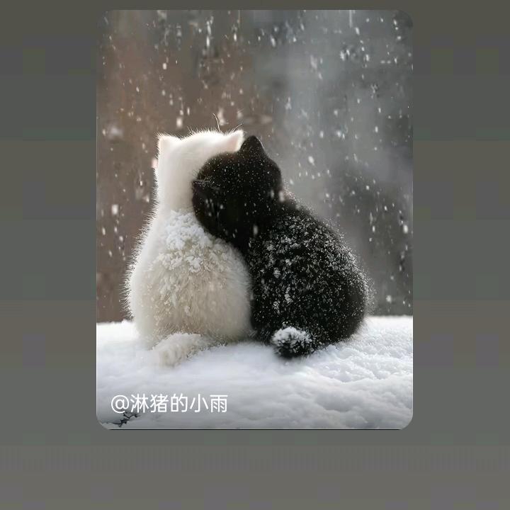 白雪