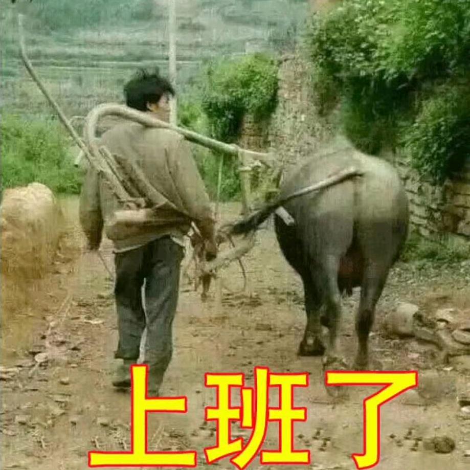 不许动