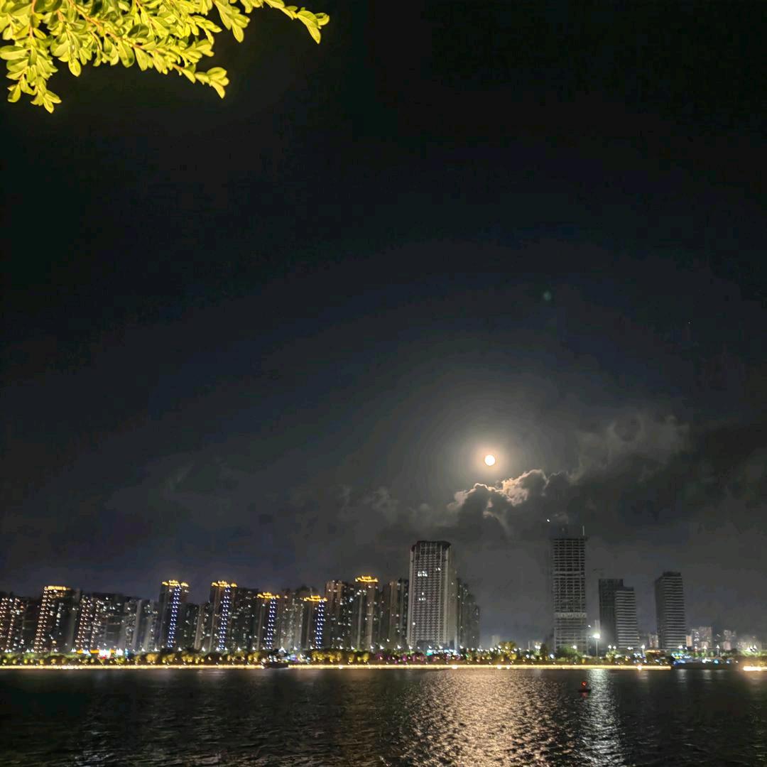 太阳🌞当空照