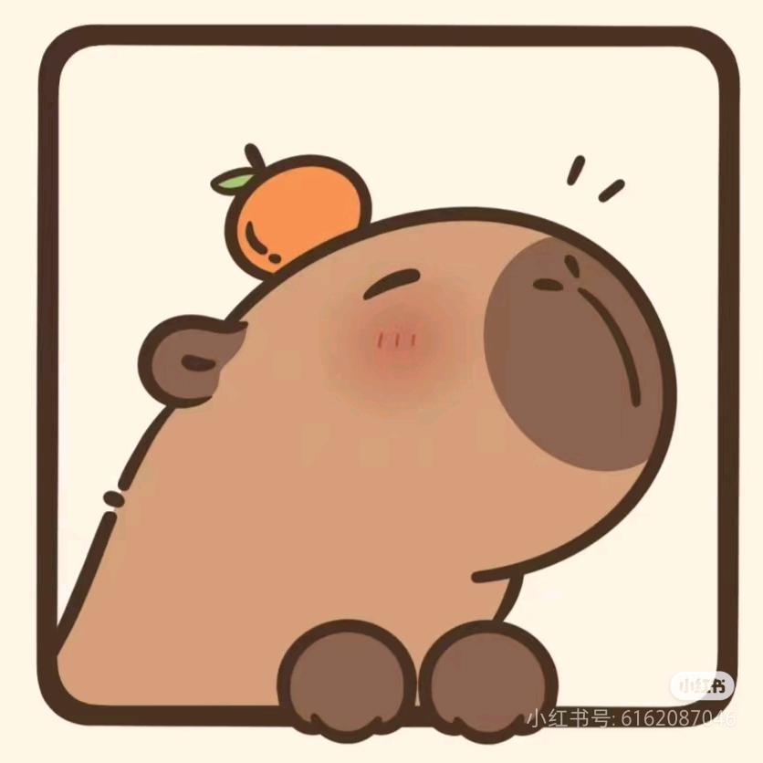 宠物喂养