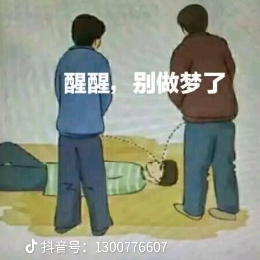 追梦人→_→