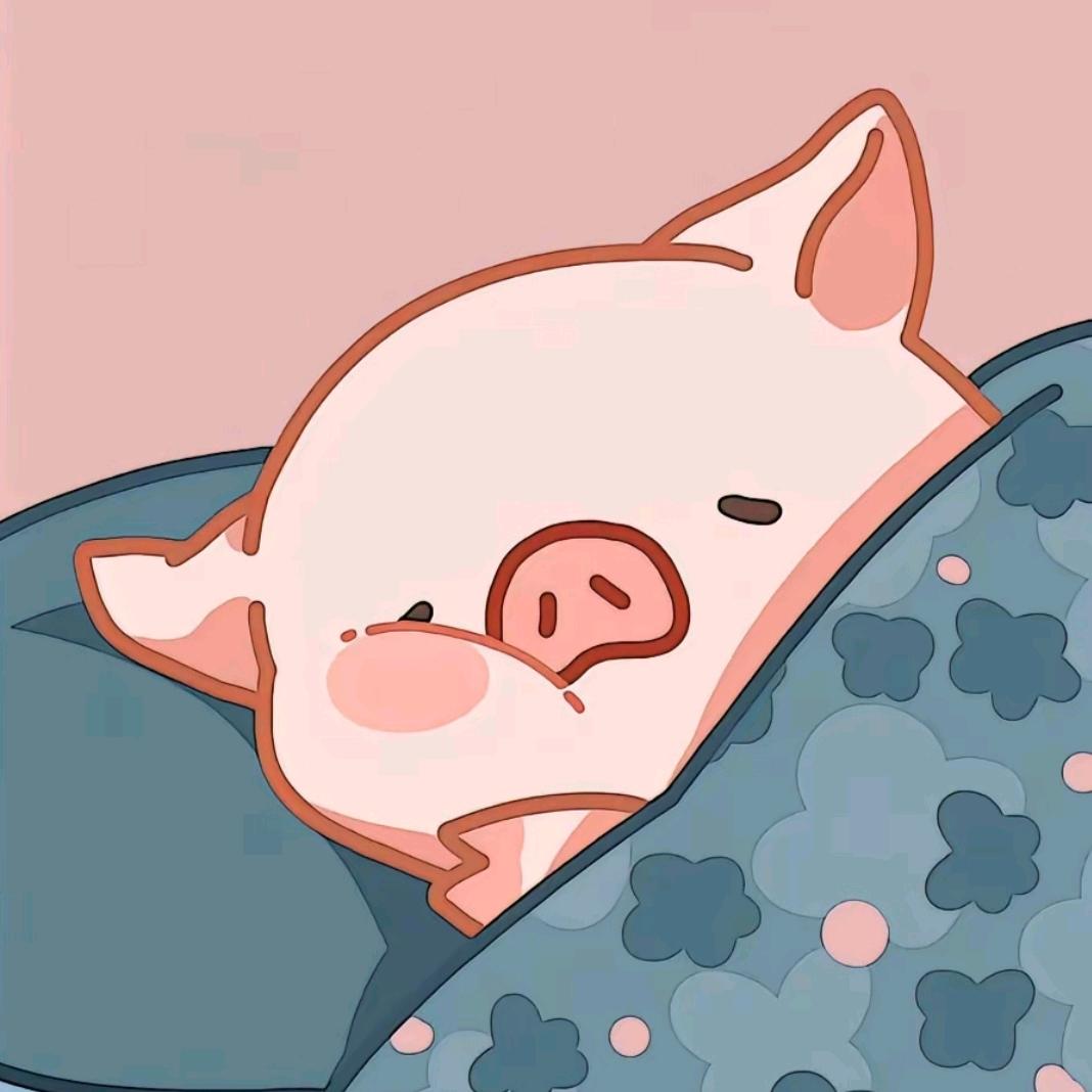 🐽🐽