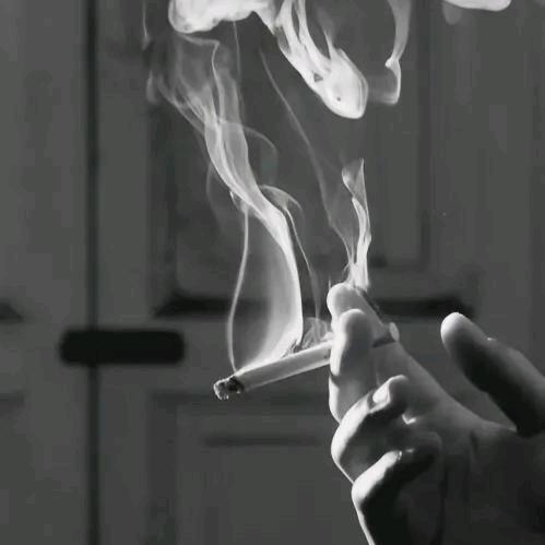 🇨🇳苏哥
