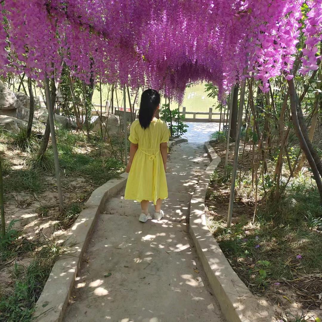 馨馨85856