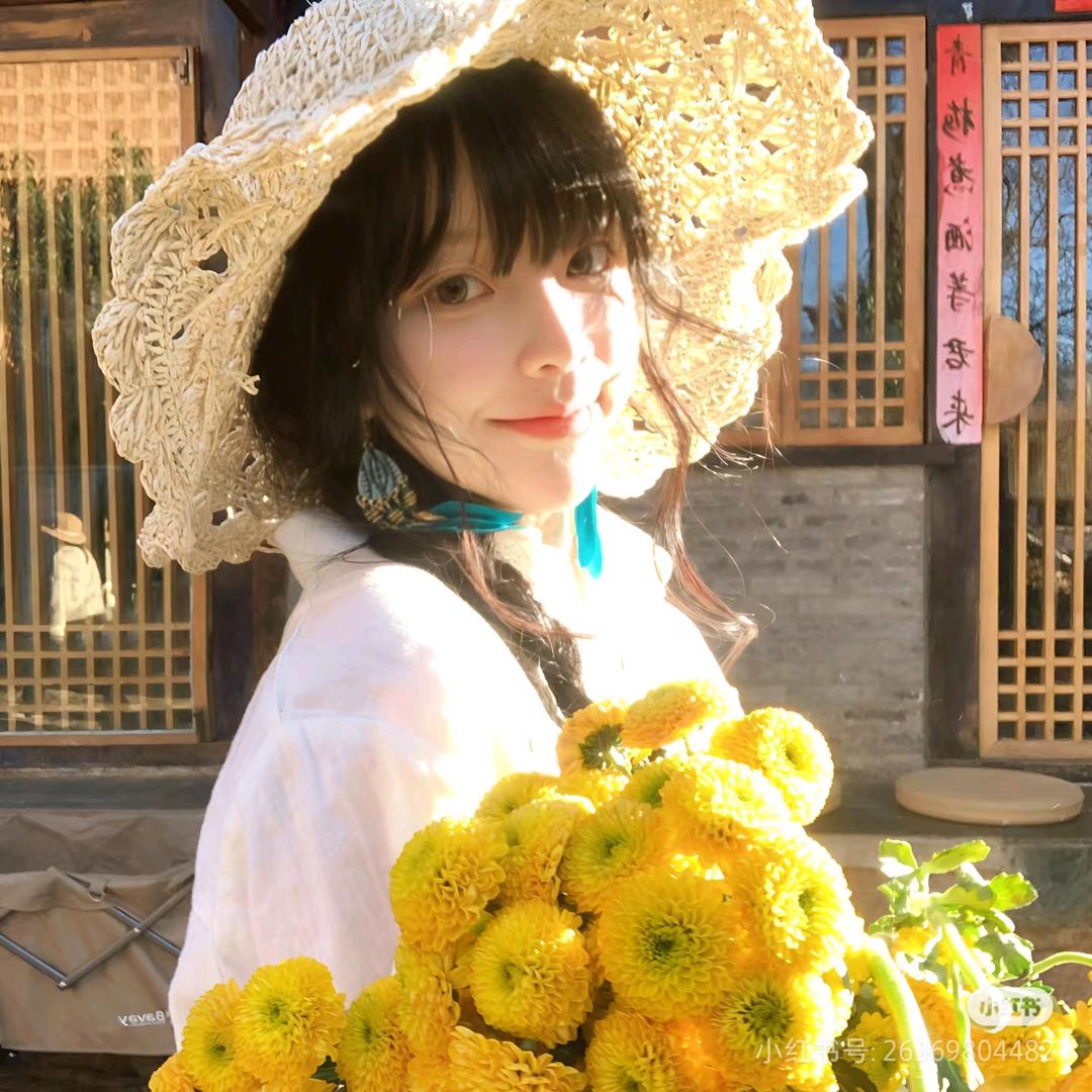 圆宝