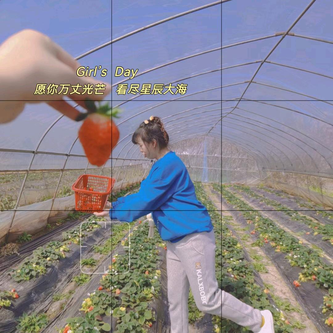 是蓉蓉吖