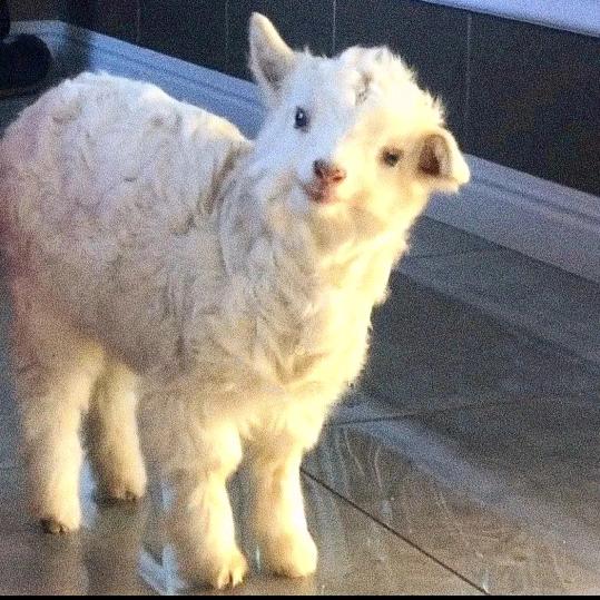 我们的开始是最长的电影