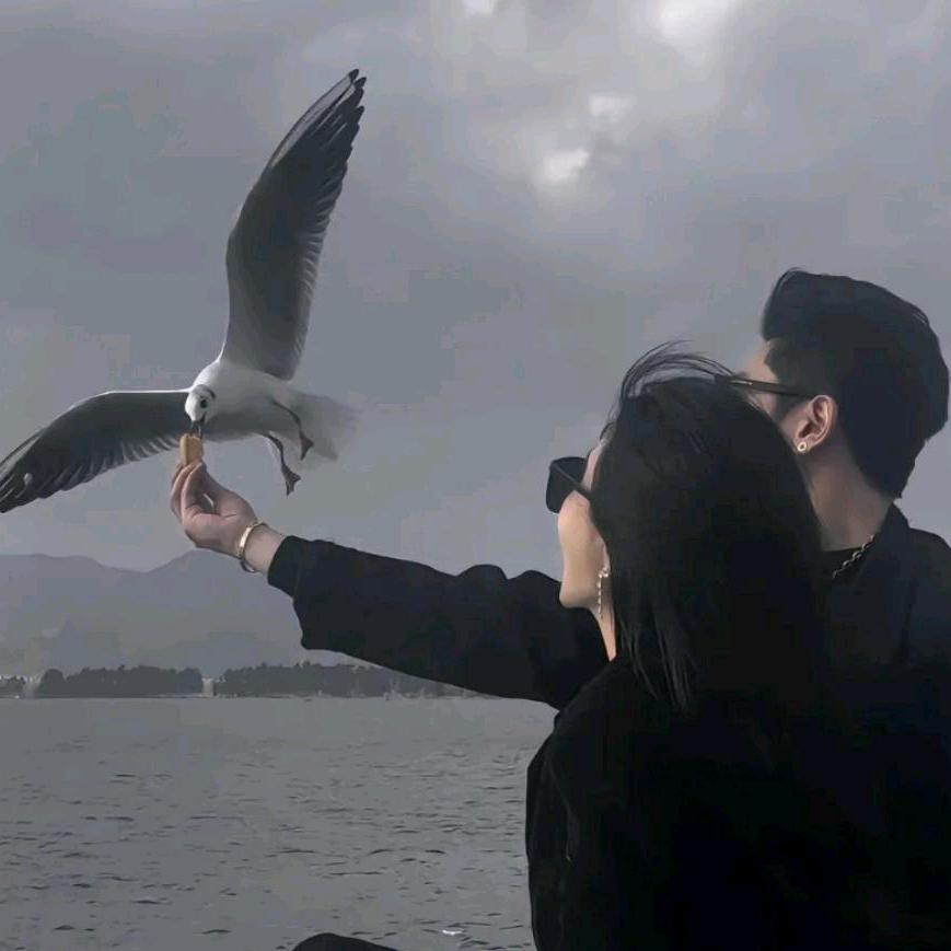 大大.