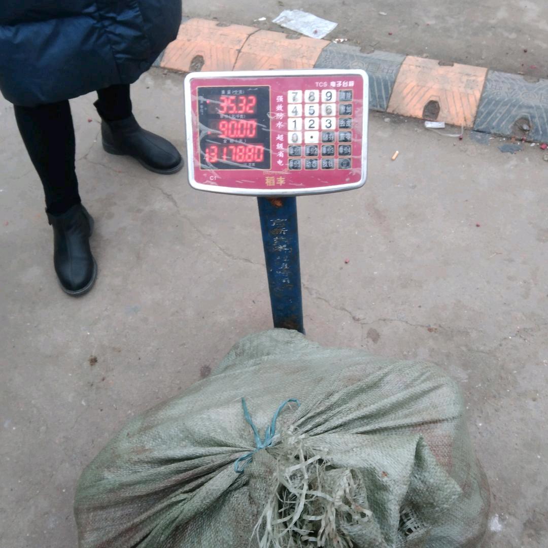 明天更好