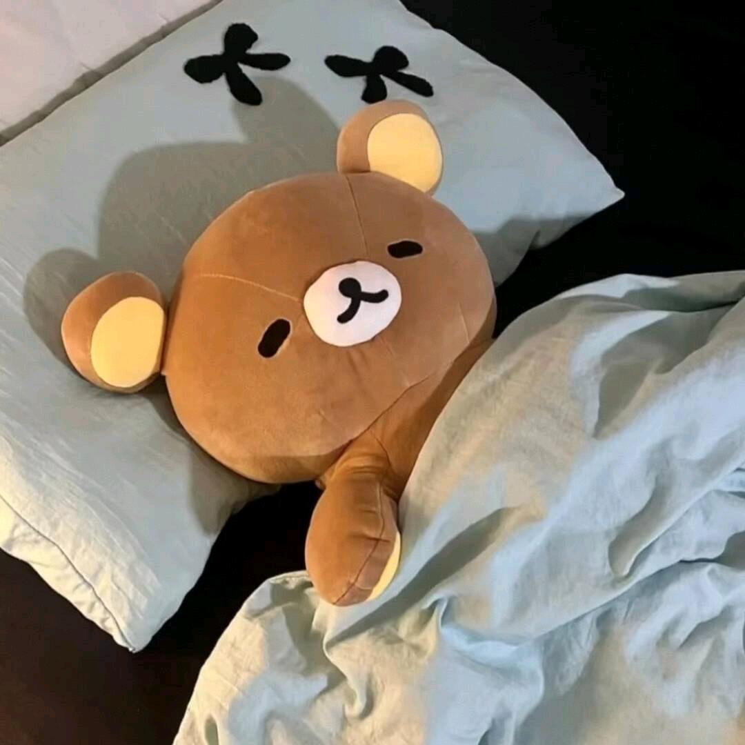 一只会冬眠的猪🐷