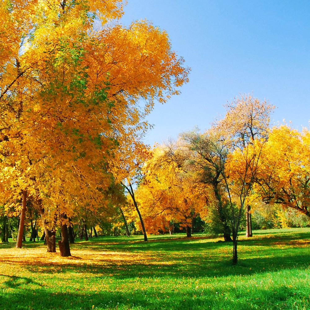 民宿公寓，全季滨河一品