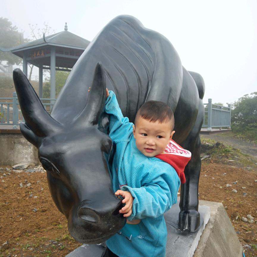 盛园农产品一任振龙