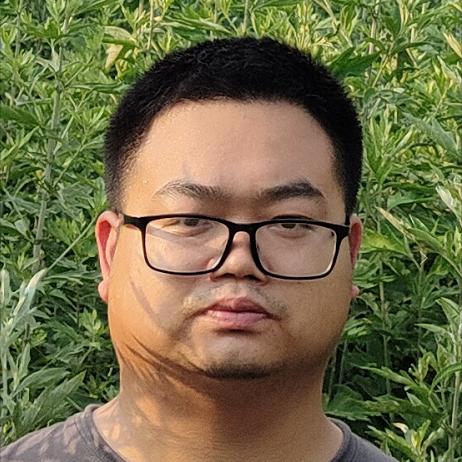 专业艾灸师王老师