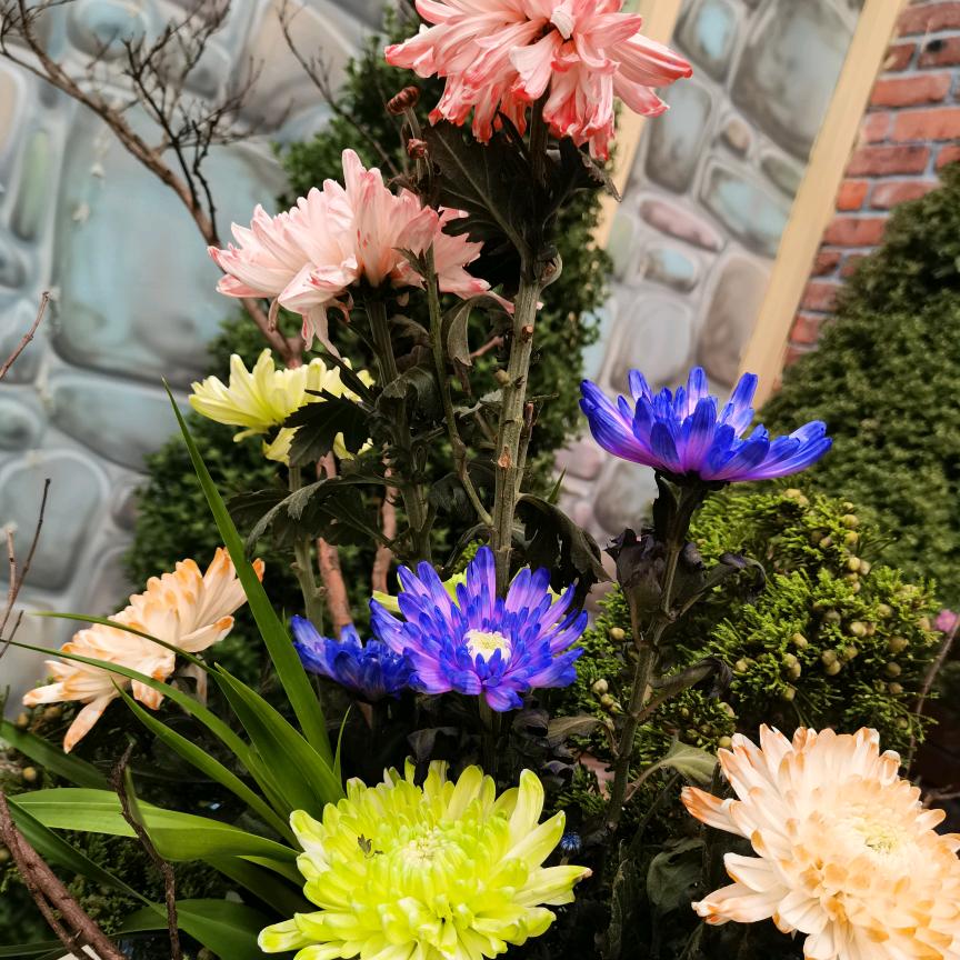 花开牵手，花败转身