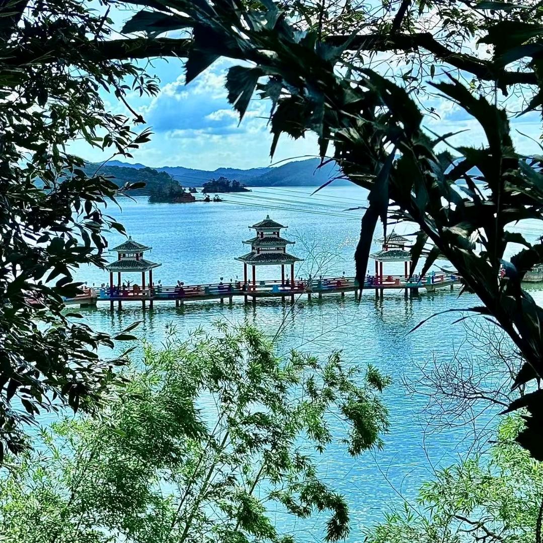 沉默是金