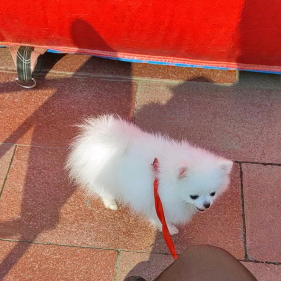 ꧔ꦿ᭄🌸 好运💫 加满💞᭄࿐