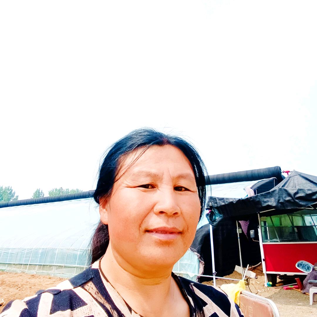 临沂岐山甜瓜嫂