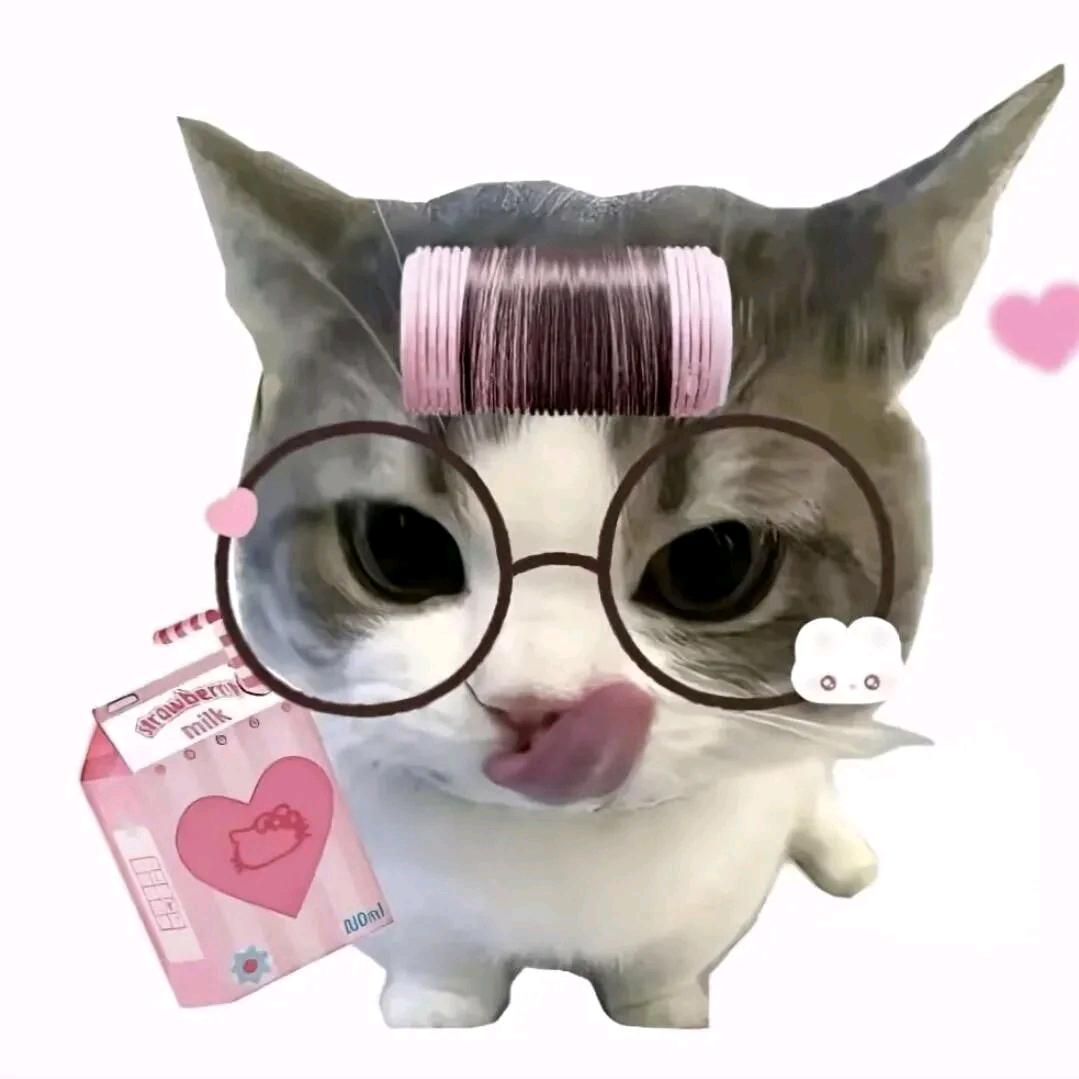 蓝♡̶桉