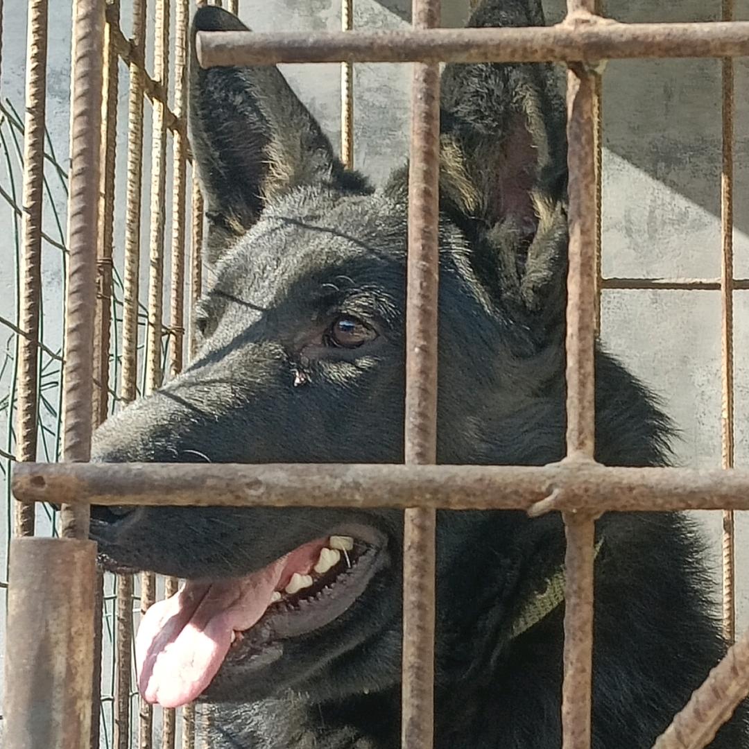 一滴泪