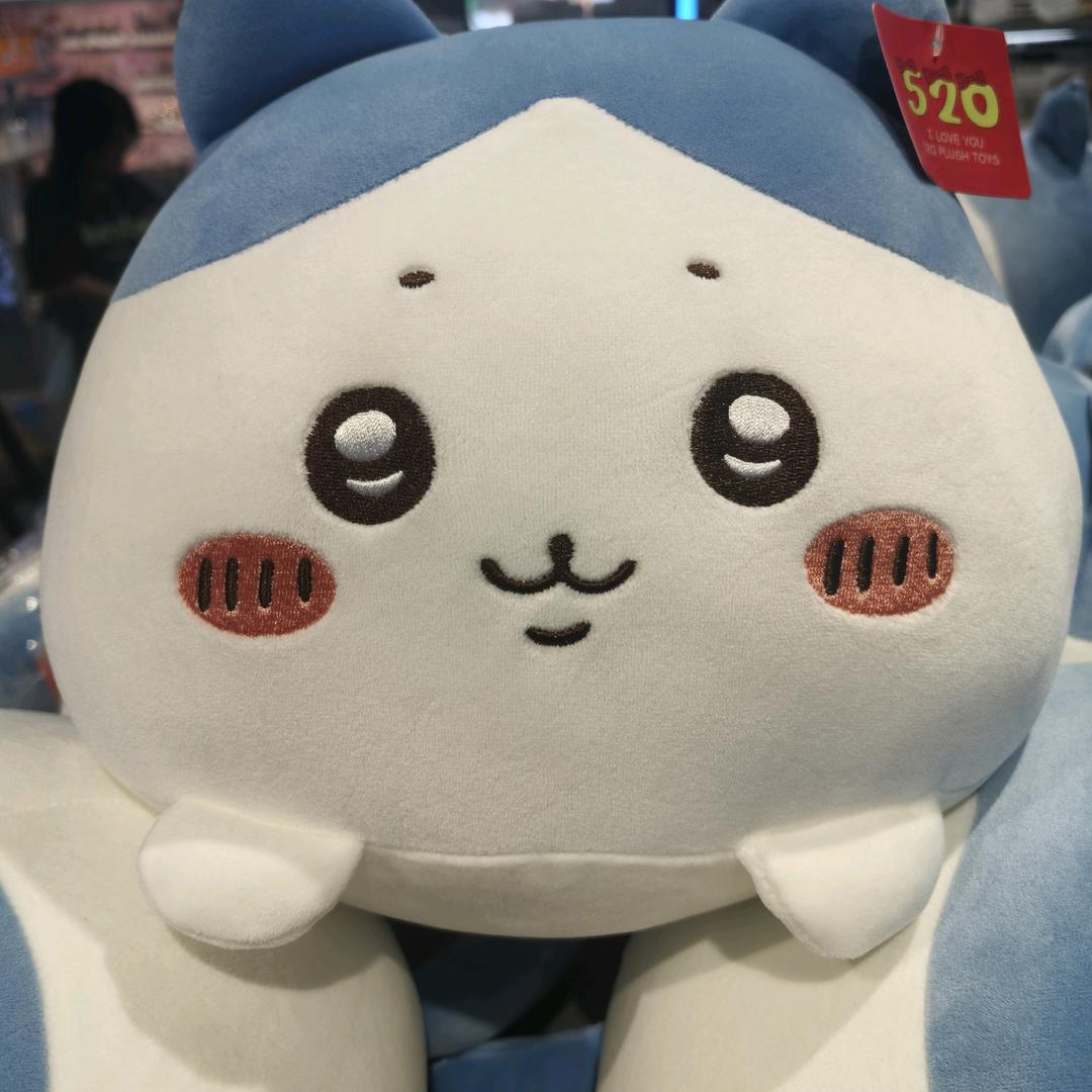 闽南月嫂林姐