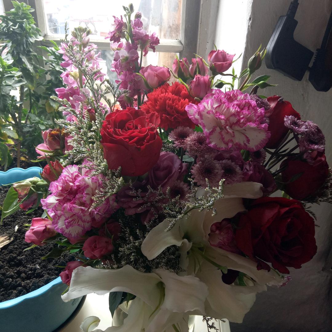 骑着蜗牛追小鬼