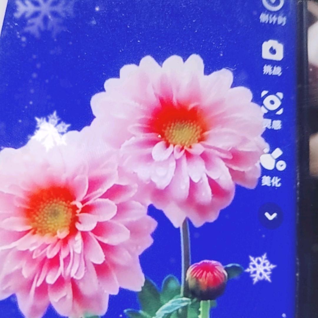 幸福一家人