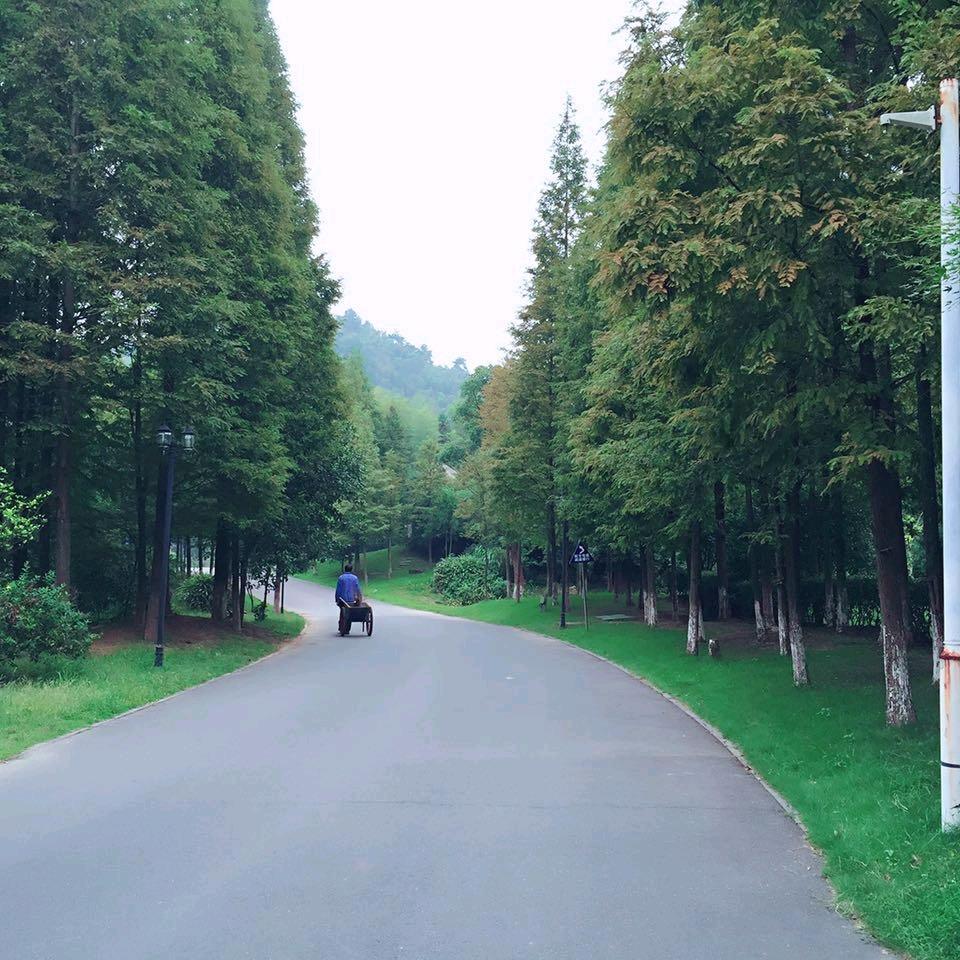 阿哥