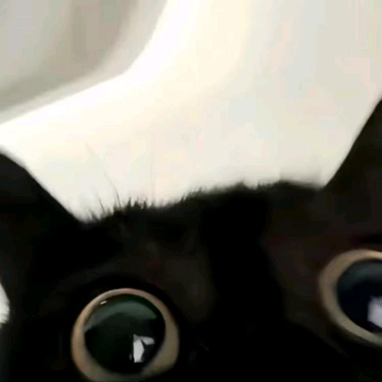 . y .