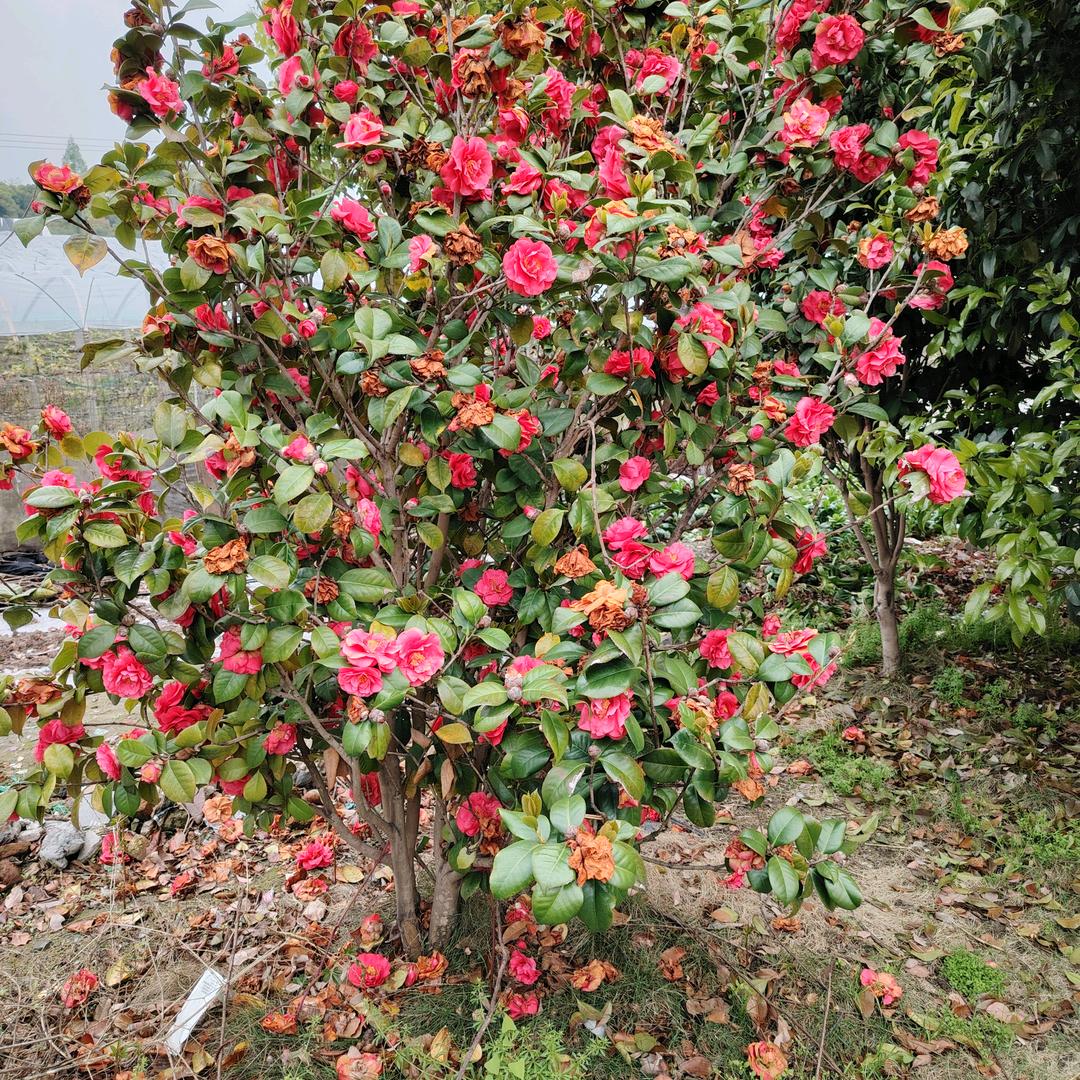@我爱我家