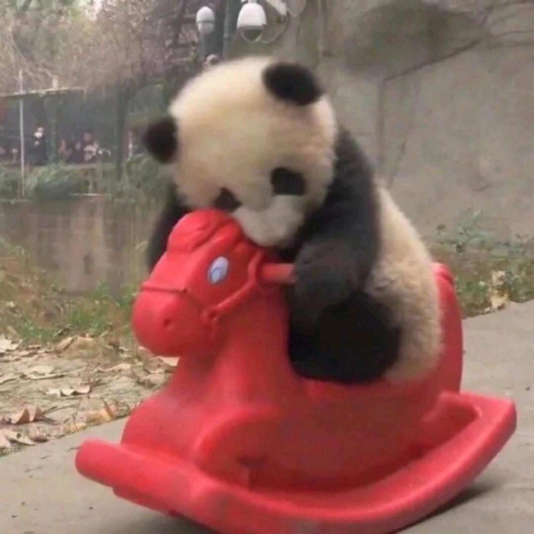 雨迹