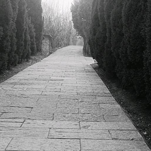 一生努力，问心无愧