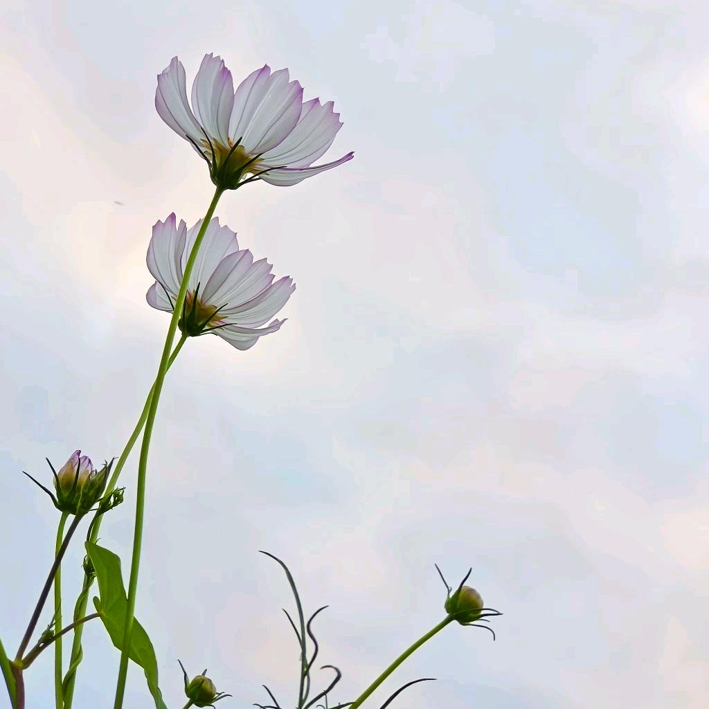 淇霞生活馆