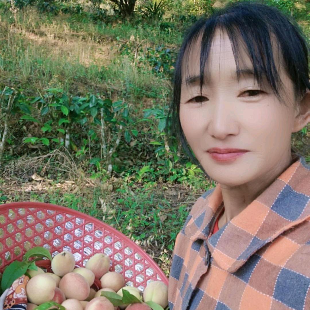 青青河边草🌿🌿🌿