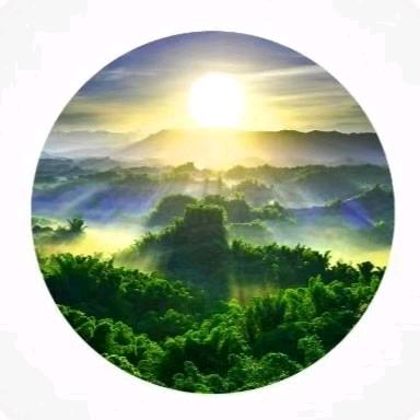 情明陶瓷