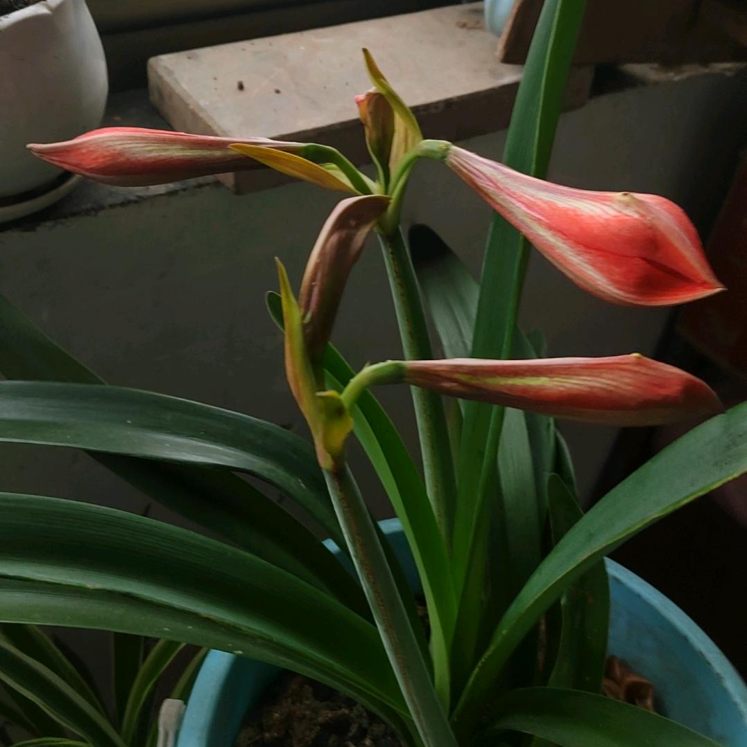 赠人玫瑰，手留余香！