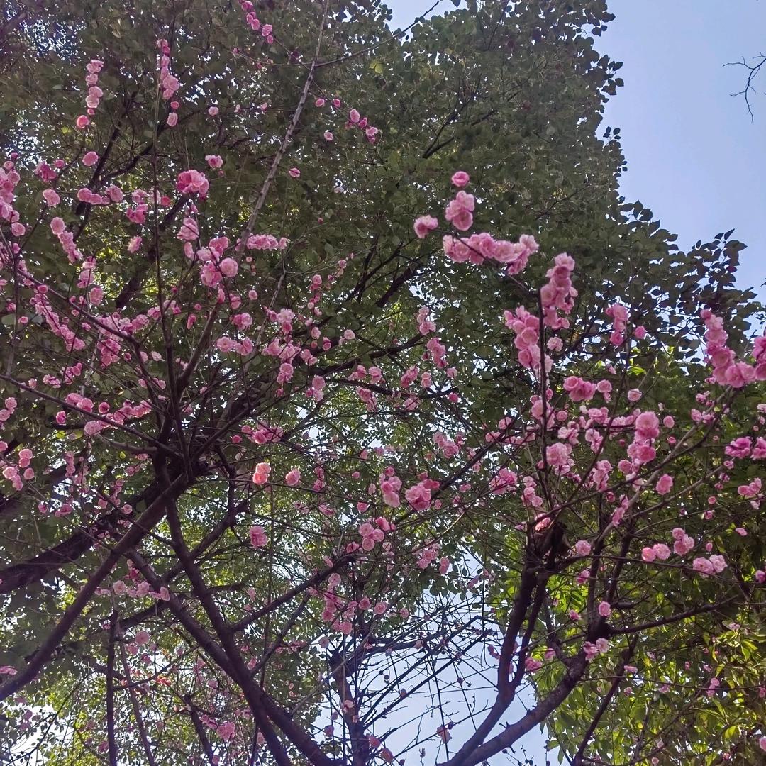 人生就是一场修行