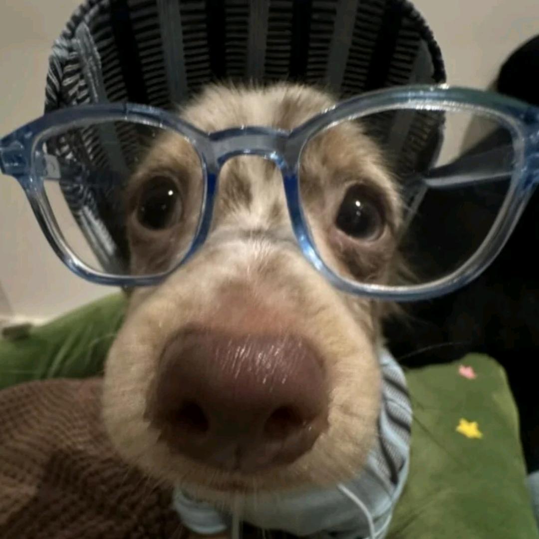 one of（躺平版）