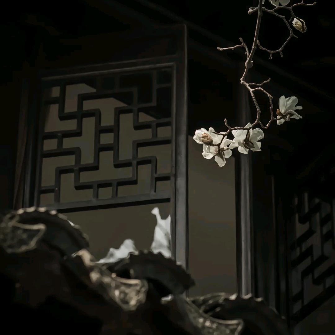 阿钰不叹气