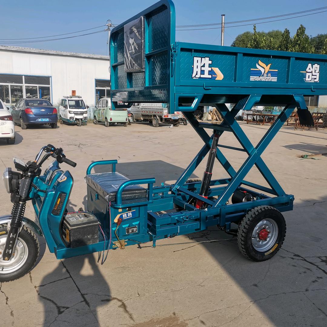 潍坊胜鸽电动车