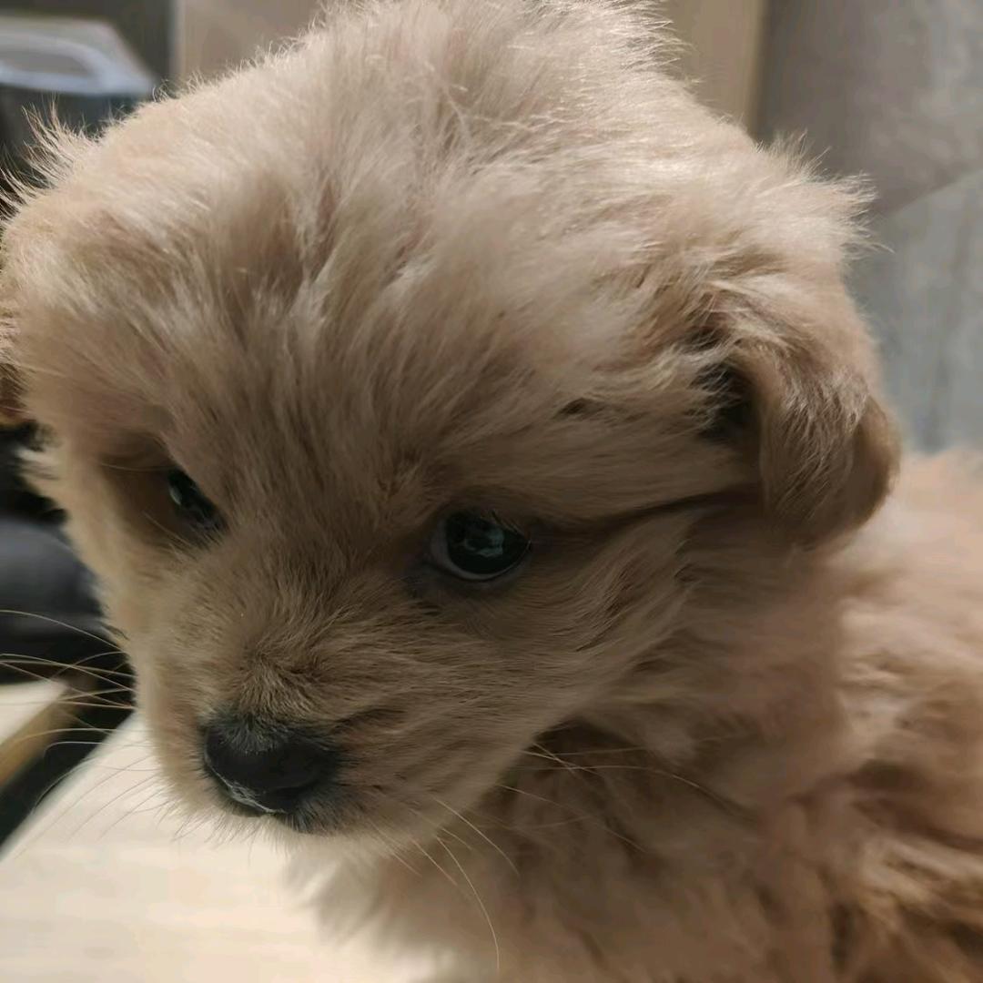 小茗仔的趣味汇