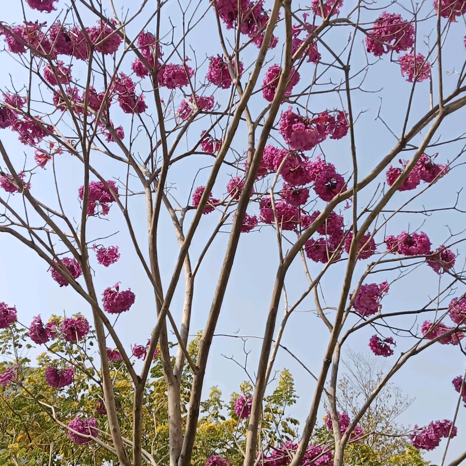 那年那月那一天