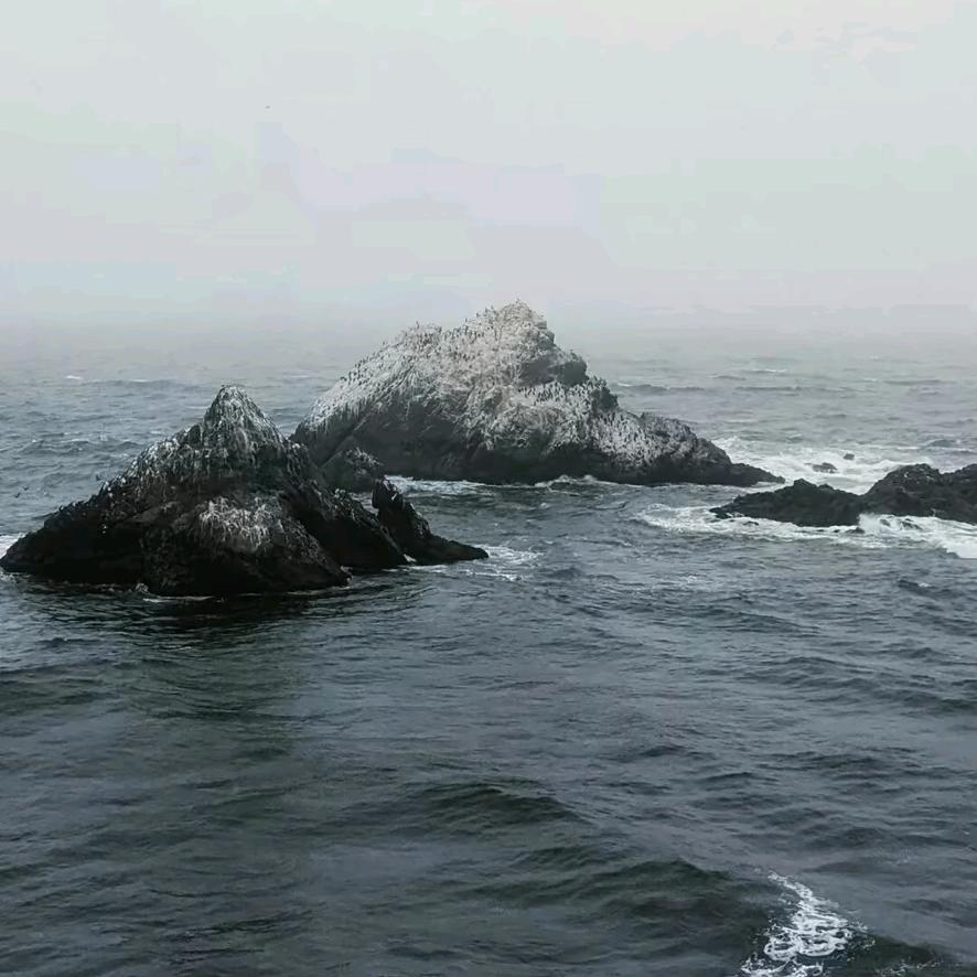 寻找海岛月光