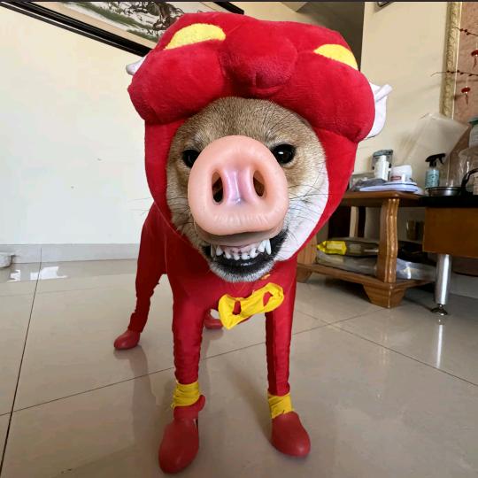 息兮📷
