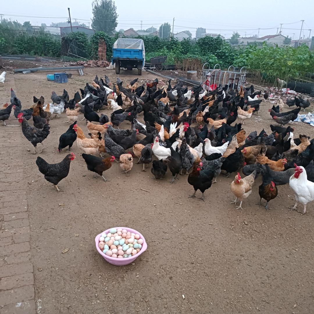 村里的幸福小农