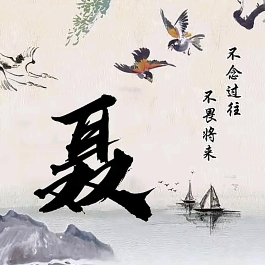 砖来转去      　　༽