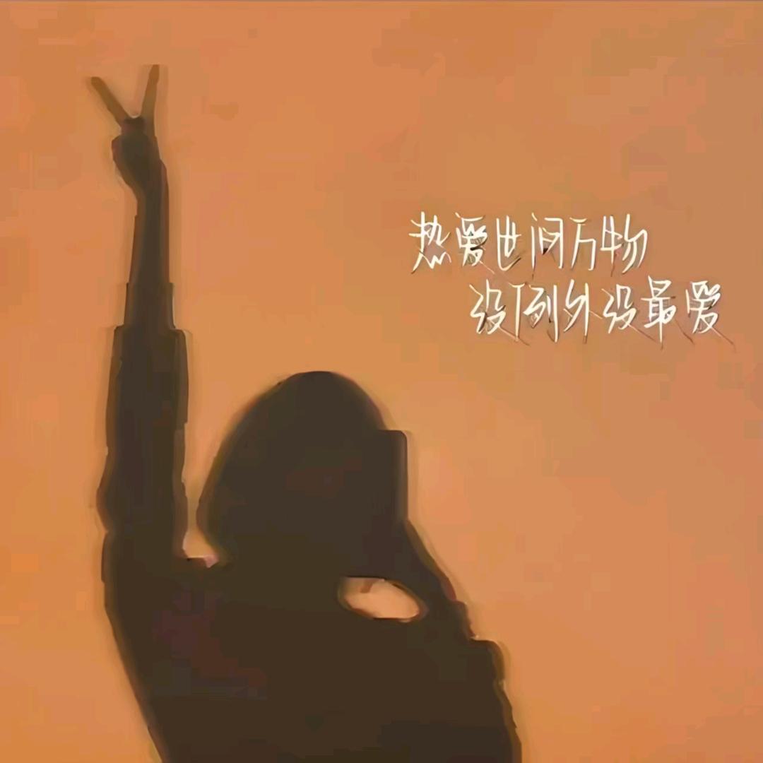 啊凤