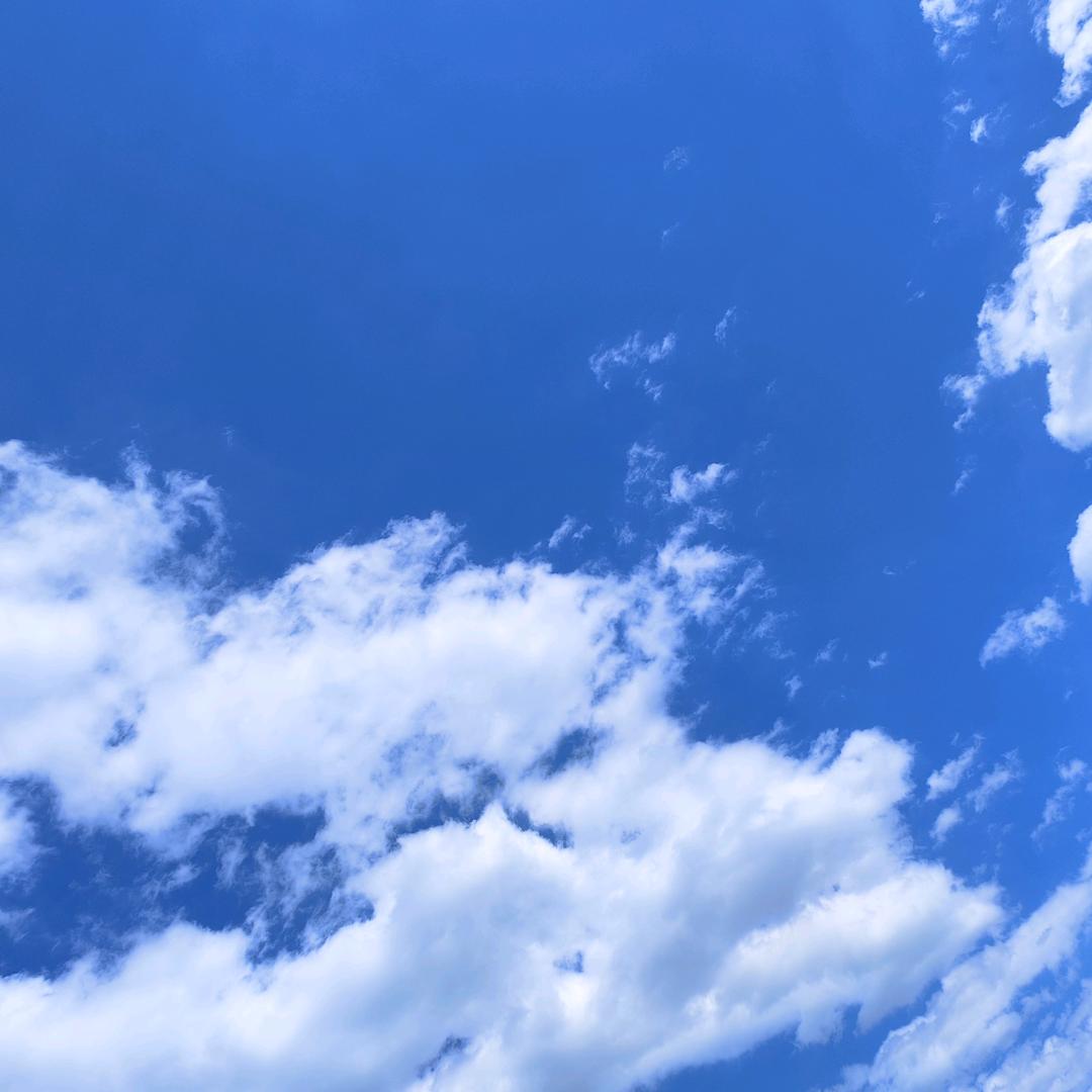 🌈天之润-杨大侠